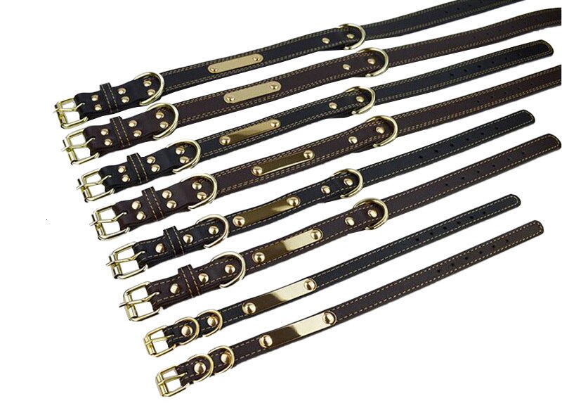 Mans Best Friend Engraved Dog Collar, Leather Pet Tag Collar For Dogs